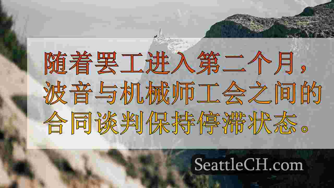 陷入困境的波音信号可能会筹集高达$ 25B，以支付财务状况