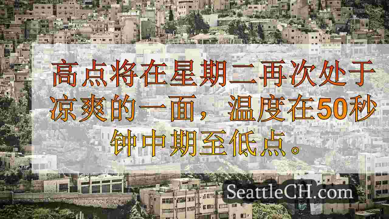 西雅图新闻 SeattleCH