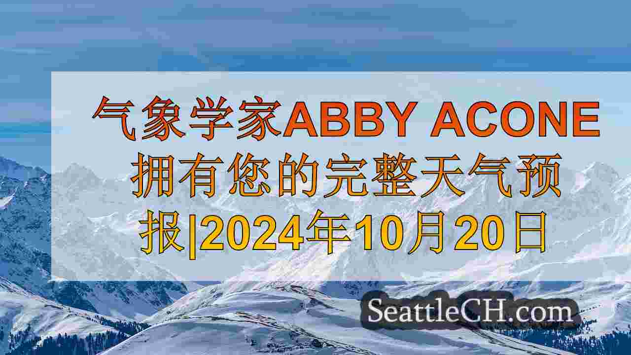 西雅图新闻 SeattleCH