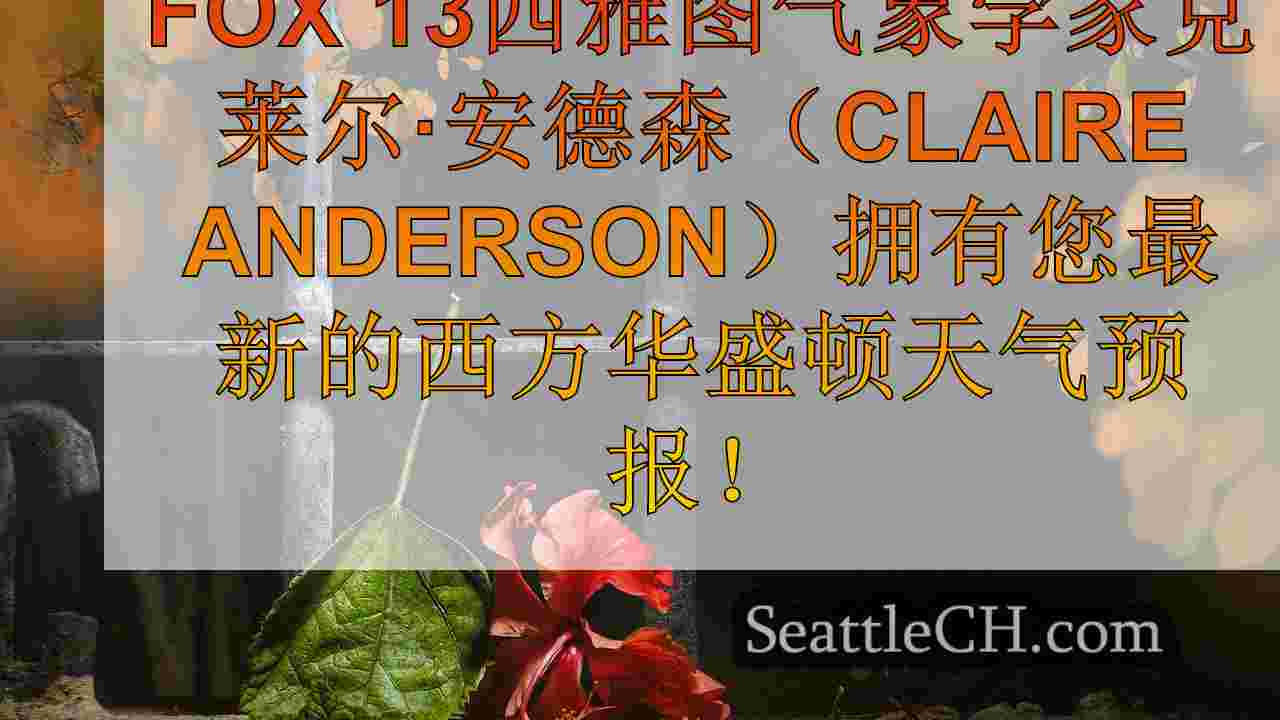 西雅图的天气：凌晨云到酥脆，阳光明媚的星期二