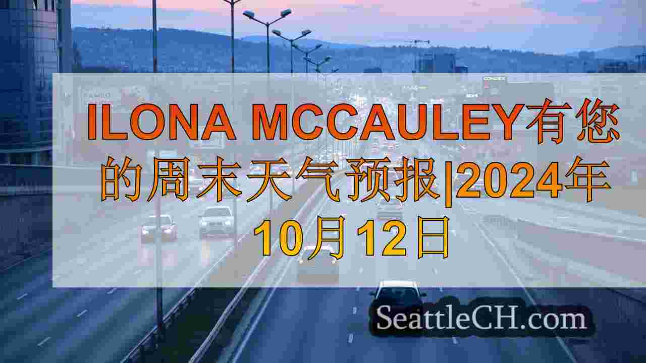 西雅图新闻 SeattleCH
