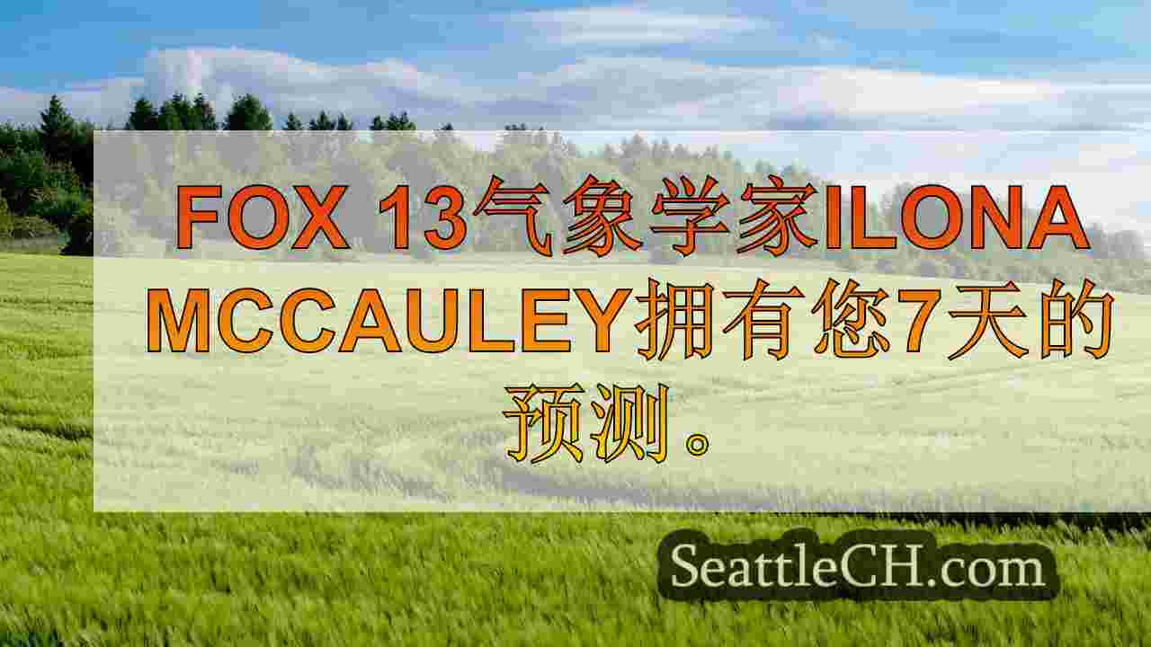 西雅图新闻 SeattleCH
