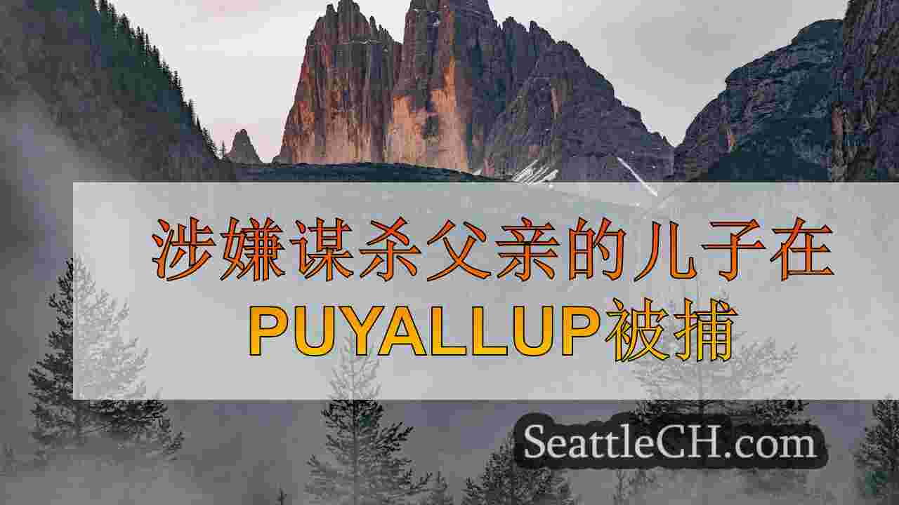 西雅图新闻 SeattleCH