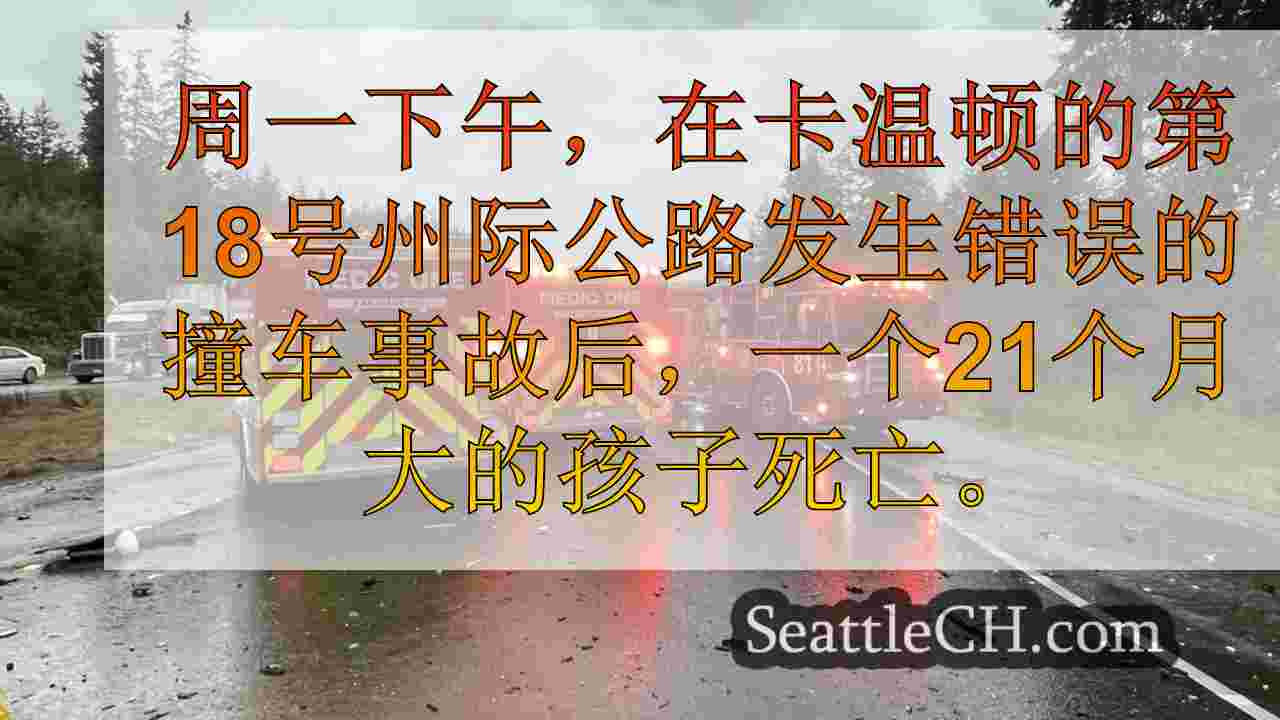 21个月大的孩子在卡温顿的第18号州际公路上发生错误的道路坠机事故中丧生