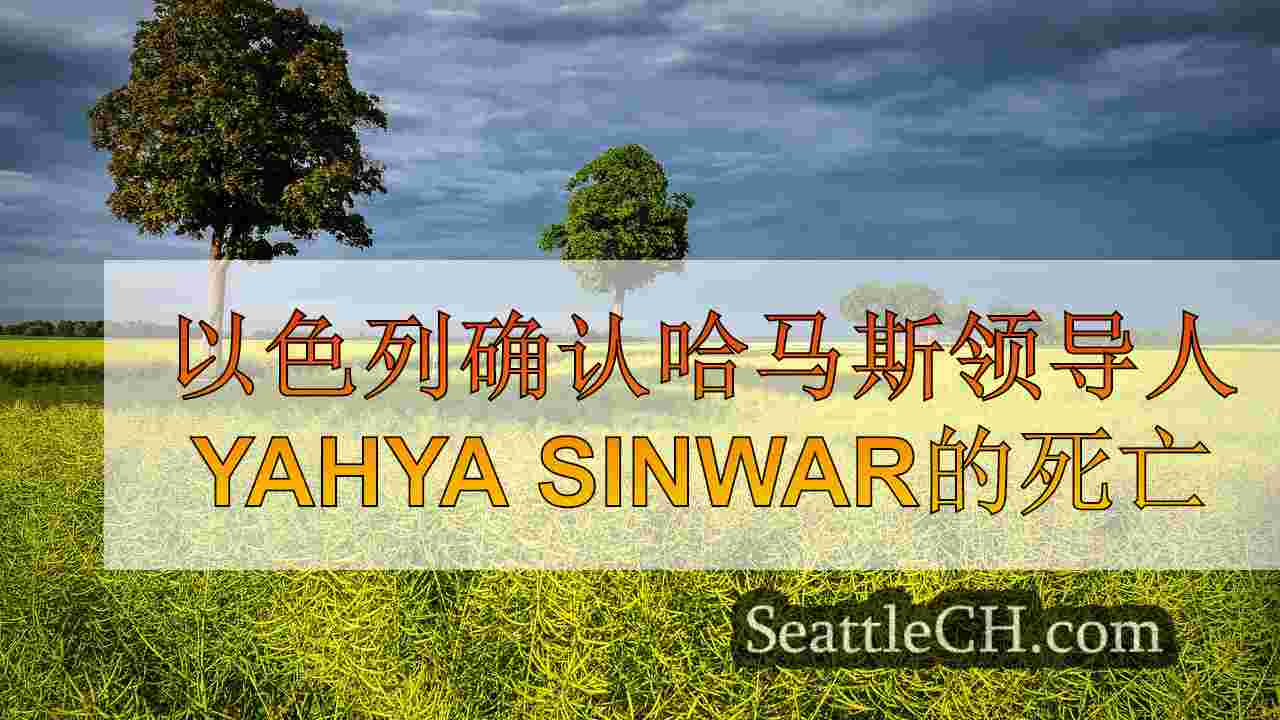 西雅图新闻 SeattleCH