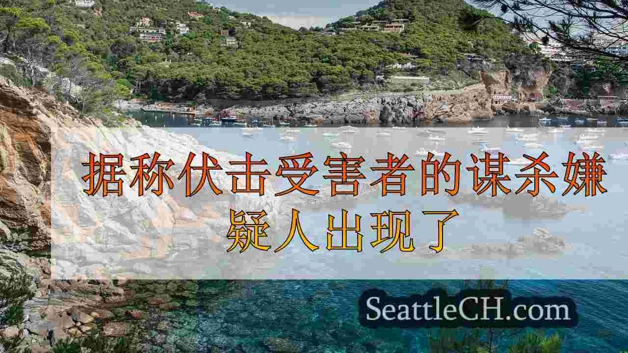 西雅图新闻 SeattleCH