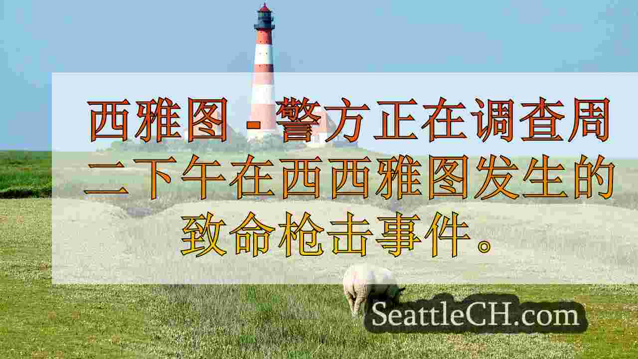 西雅图新闻 SeattleCH