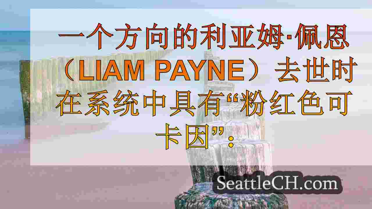 西雅图新闻 SeattleCH