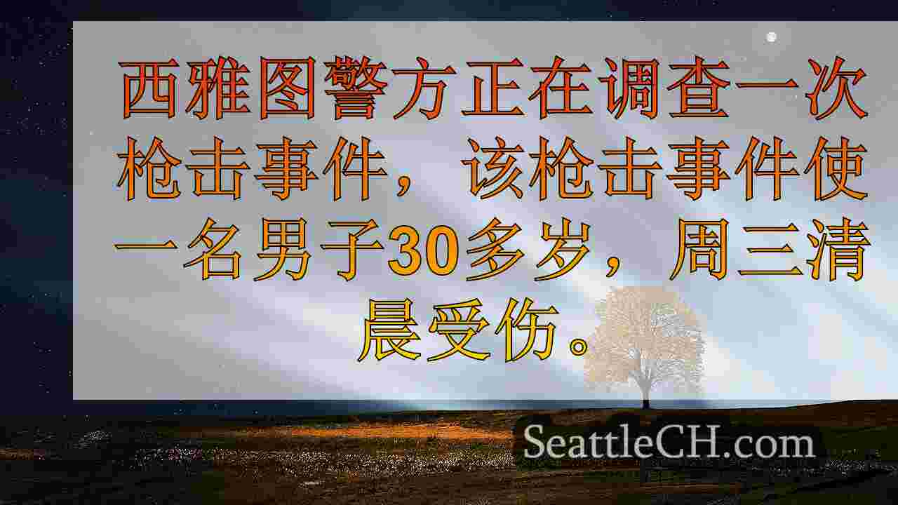 西雅图新闻 SeattleCH