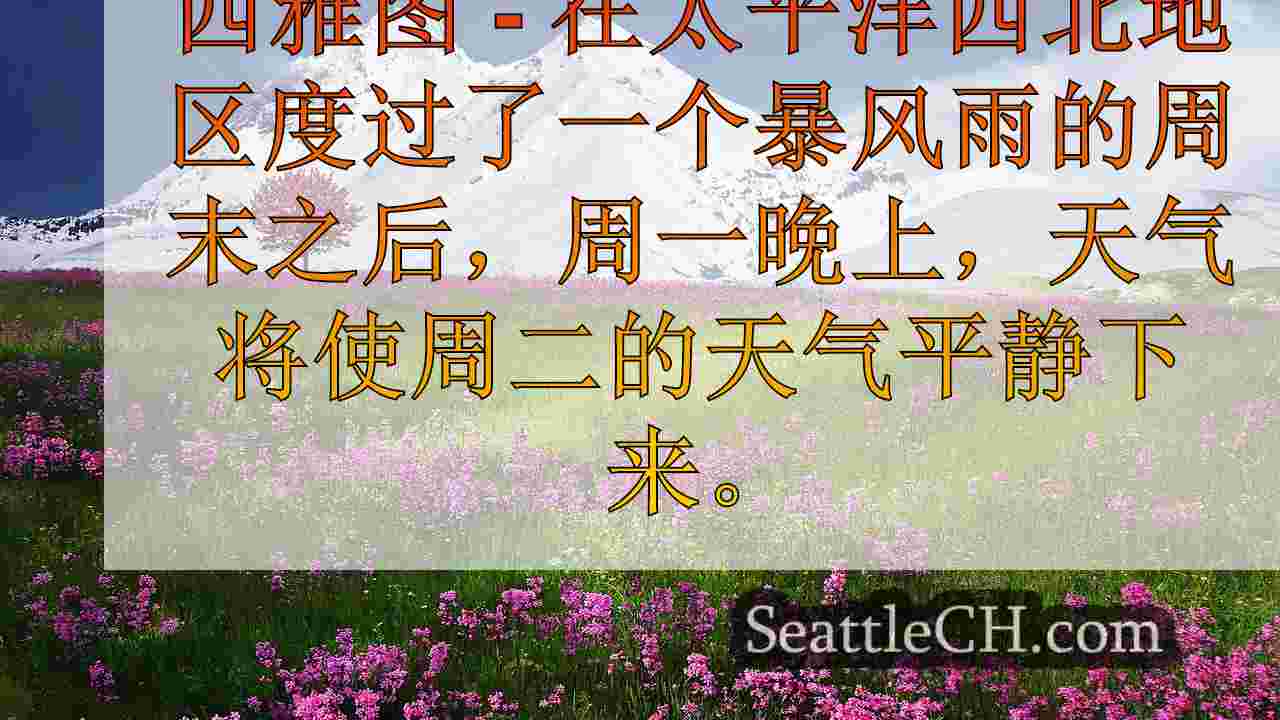 西雅图天气：创纪录的周末总计下雨以缓解