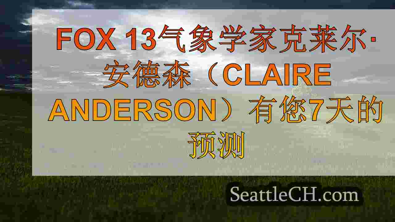 西雅图新闻 SeattleCH