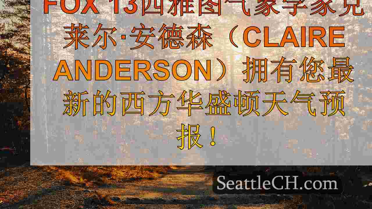 西雅图新闻 SeattleCH
