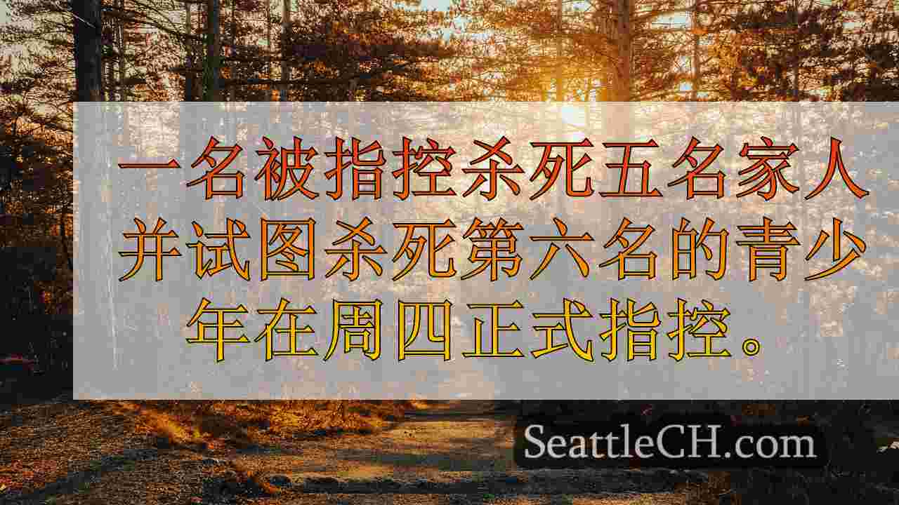 文档：秋季少年枪杀家庭，上演了“谋杀自杀”
