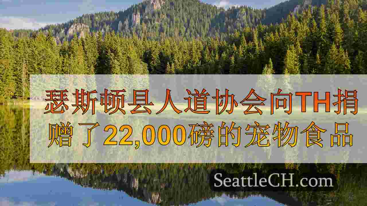 西雅图新闻 SeattleCH