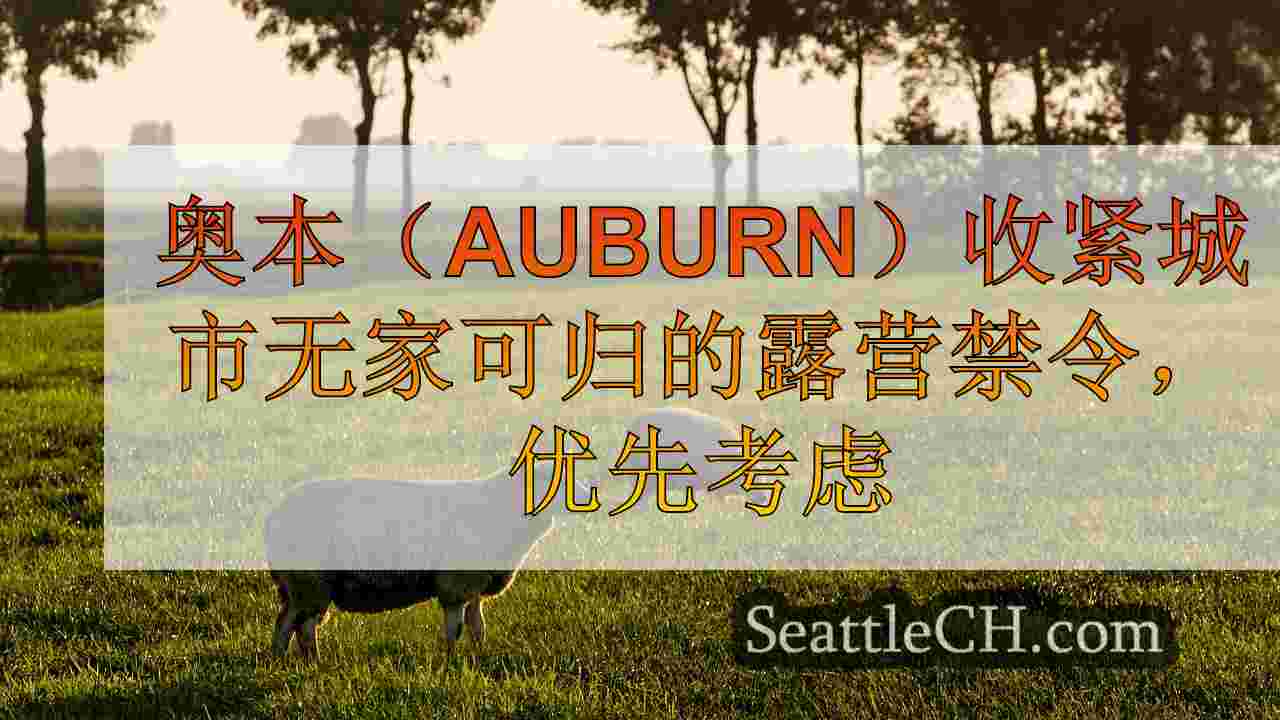 奥本（Auburn）收紧城市无家可归的露营禁令，优先保存公共场所