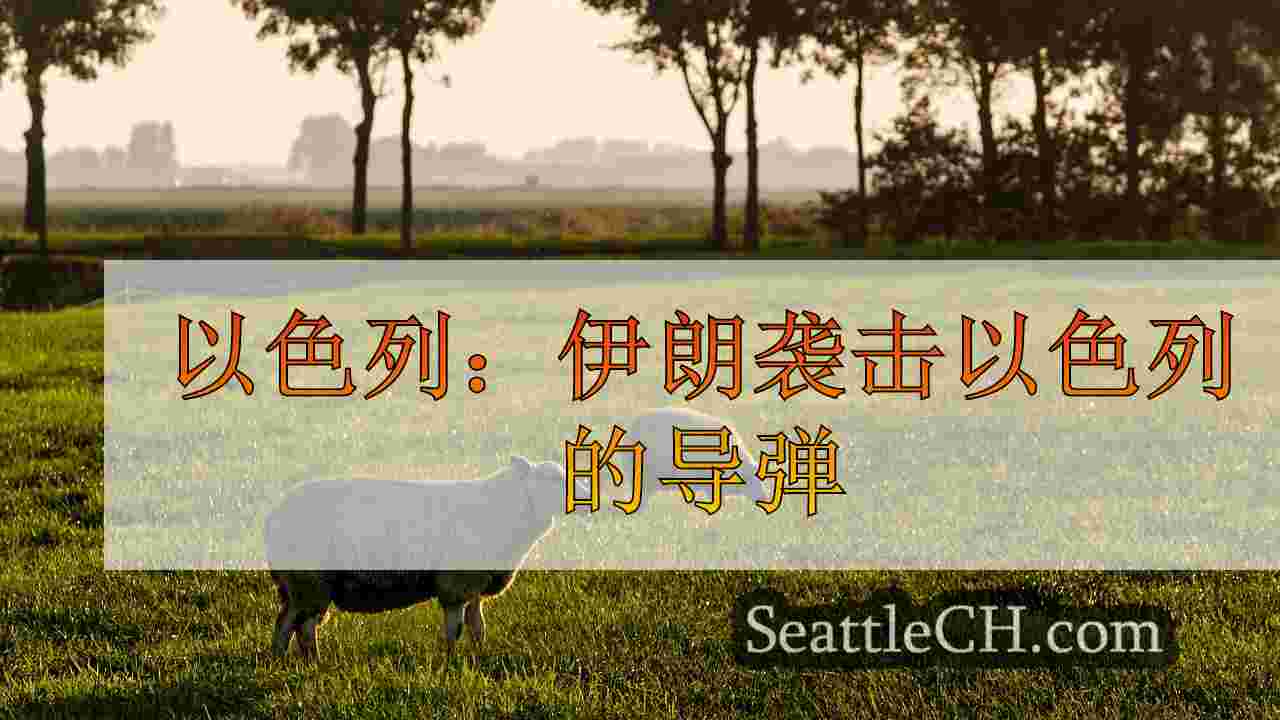 西雅图新闻 SeattleCH