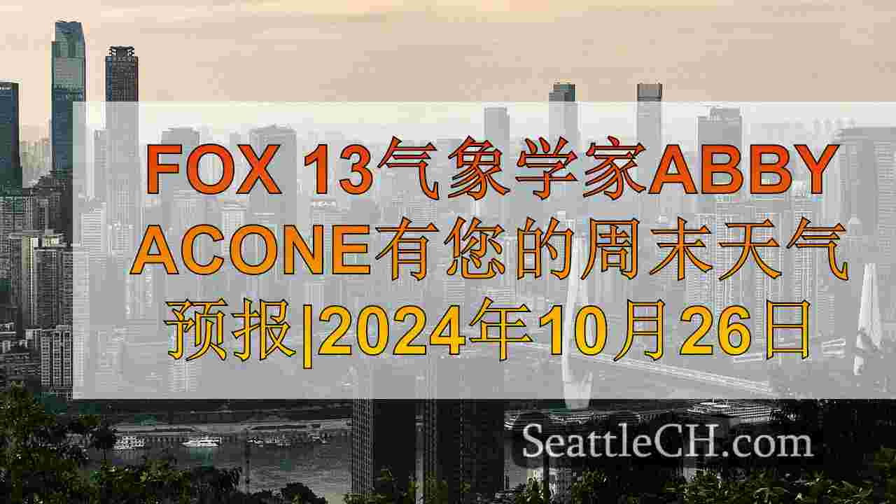 西雅图新闻 SeattleCH