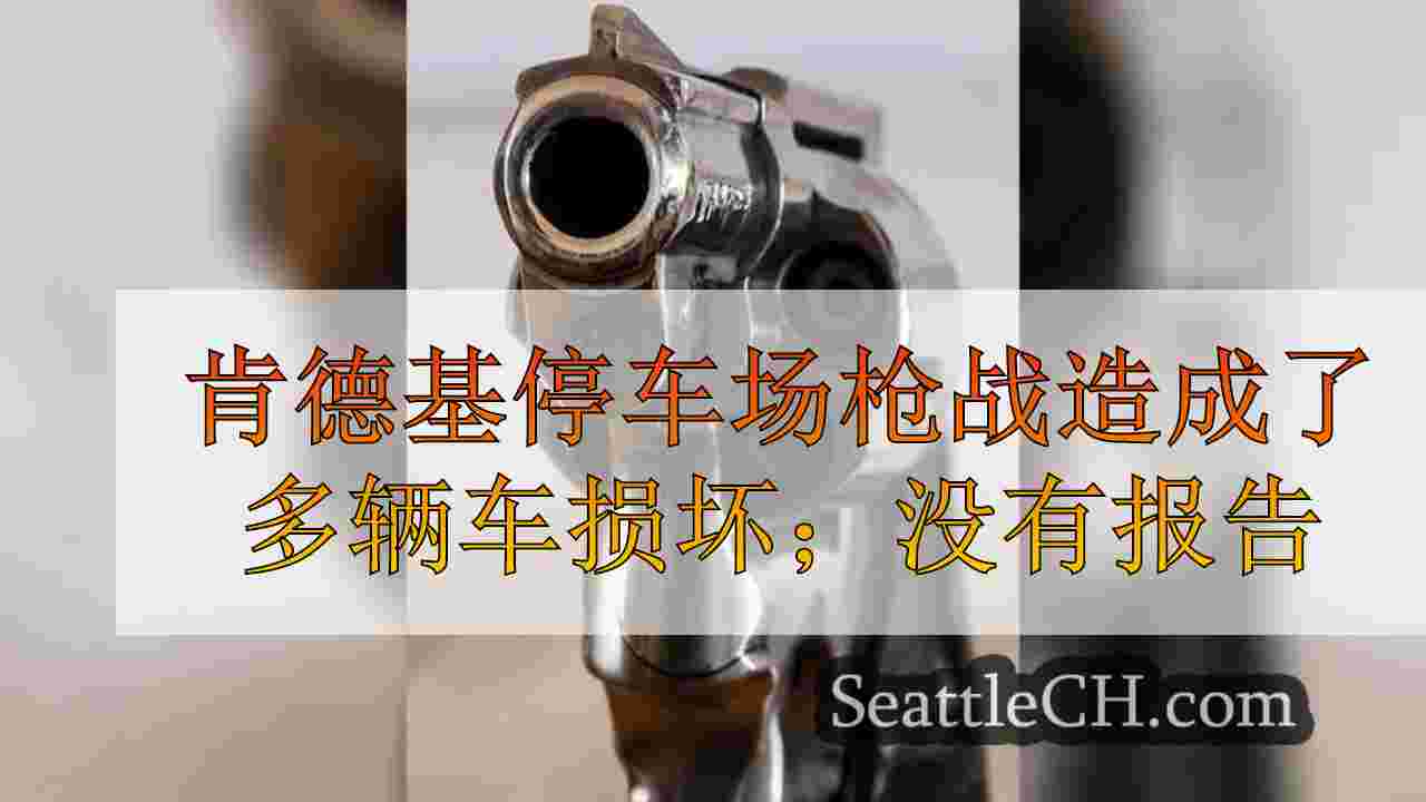 肯德基停车场枪战造成了多辆车损坏；没有报告受伤