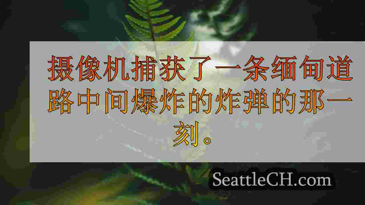 西雅图新闻 SeattleCH