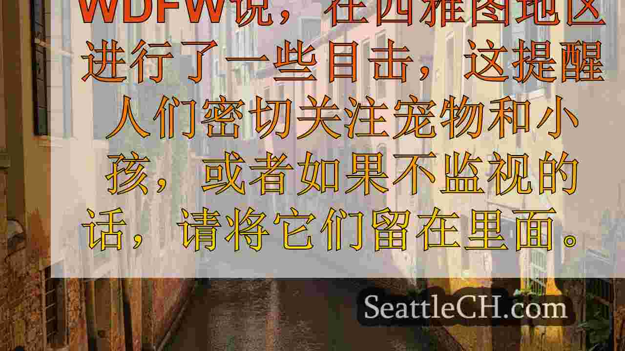 西雅图新闻 SeattleCH