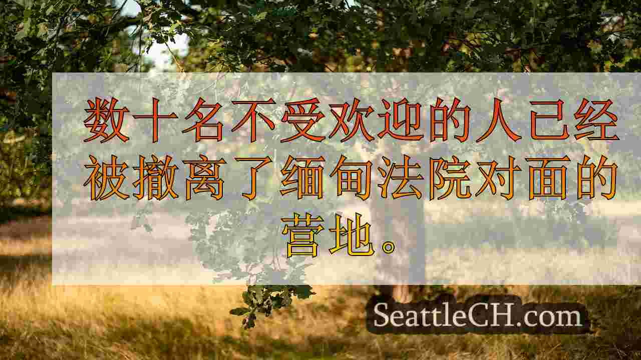 西雅图新闻 SeattleCH