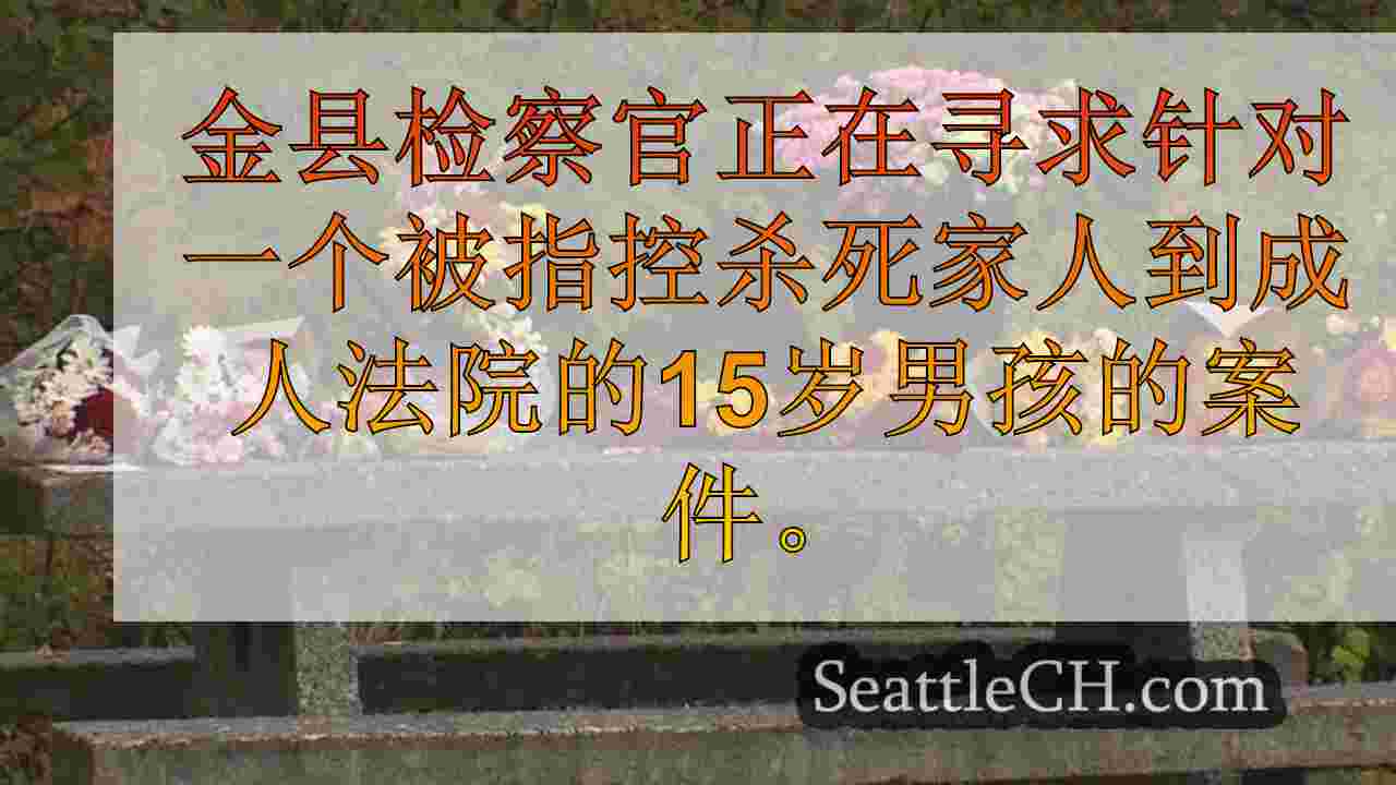 西雅图新闻 SeattleCH