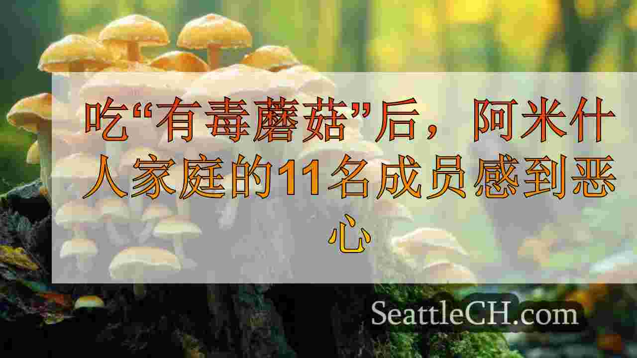 吃“有毒蘑菇”后，阿米什人家庭的11名成员感到恶心