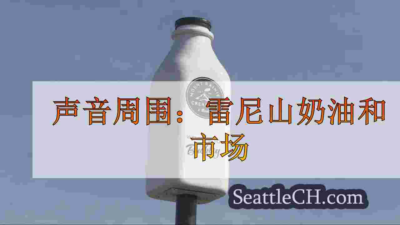 声音周围：雷尼山奶油和市场