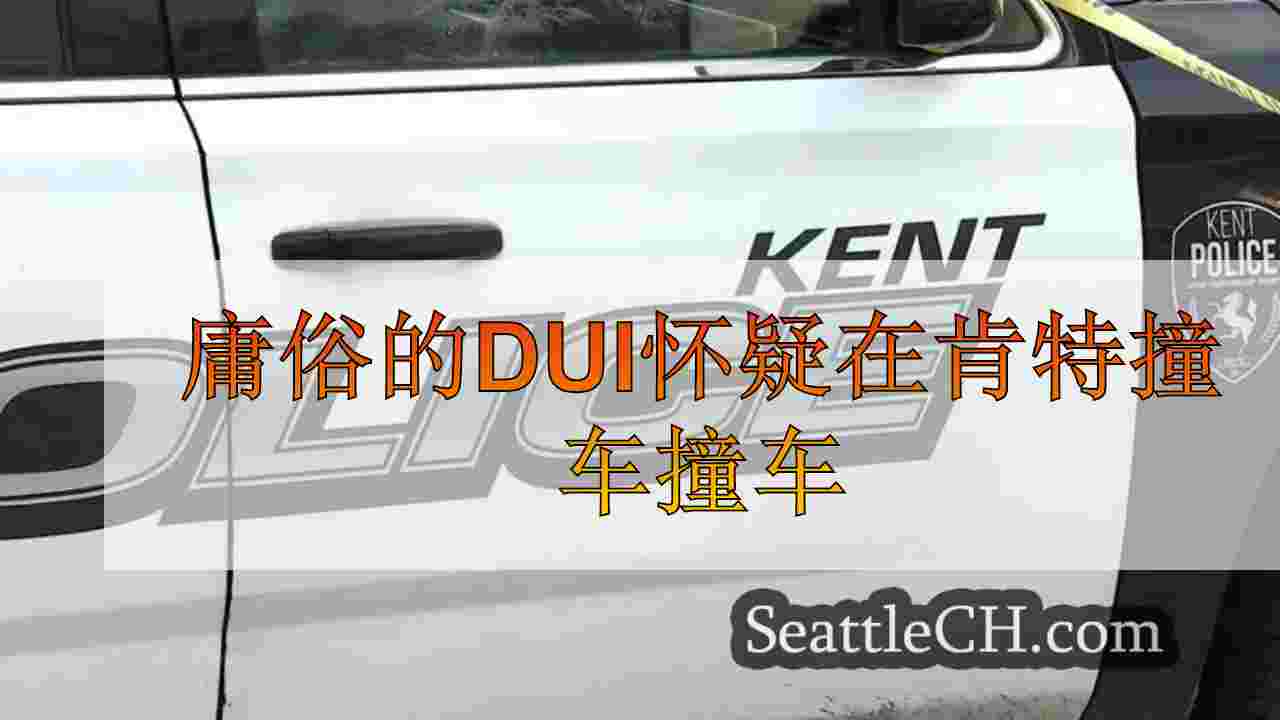 庸俗的DUI怀疑在肯特撞车撞车