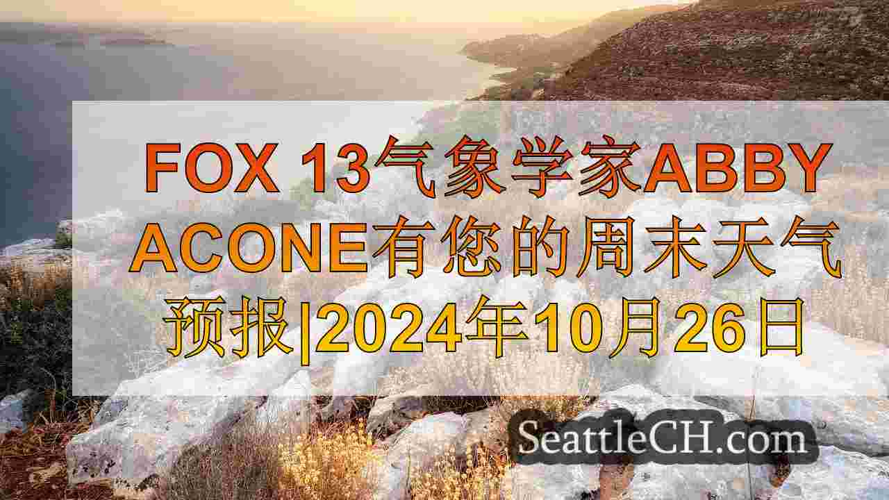 西雅图新闻 SeattleCH