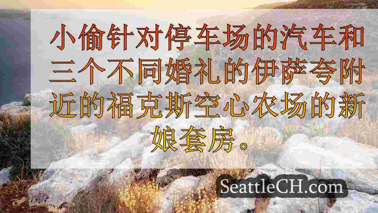 西雅图新闻 SeattleCH