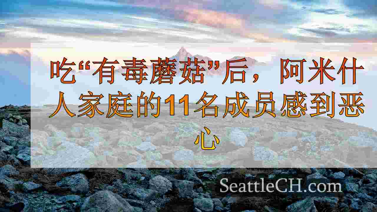 西雅图新闻 SeattleCH