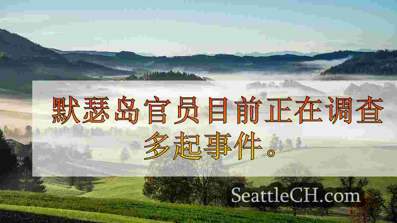 性玩具恶作剧，滥用电力土地默瑟岛，华盛顿州官员在热水中