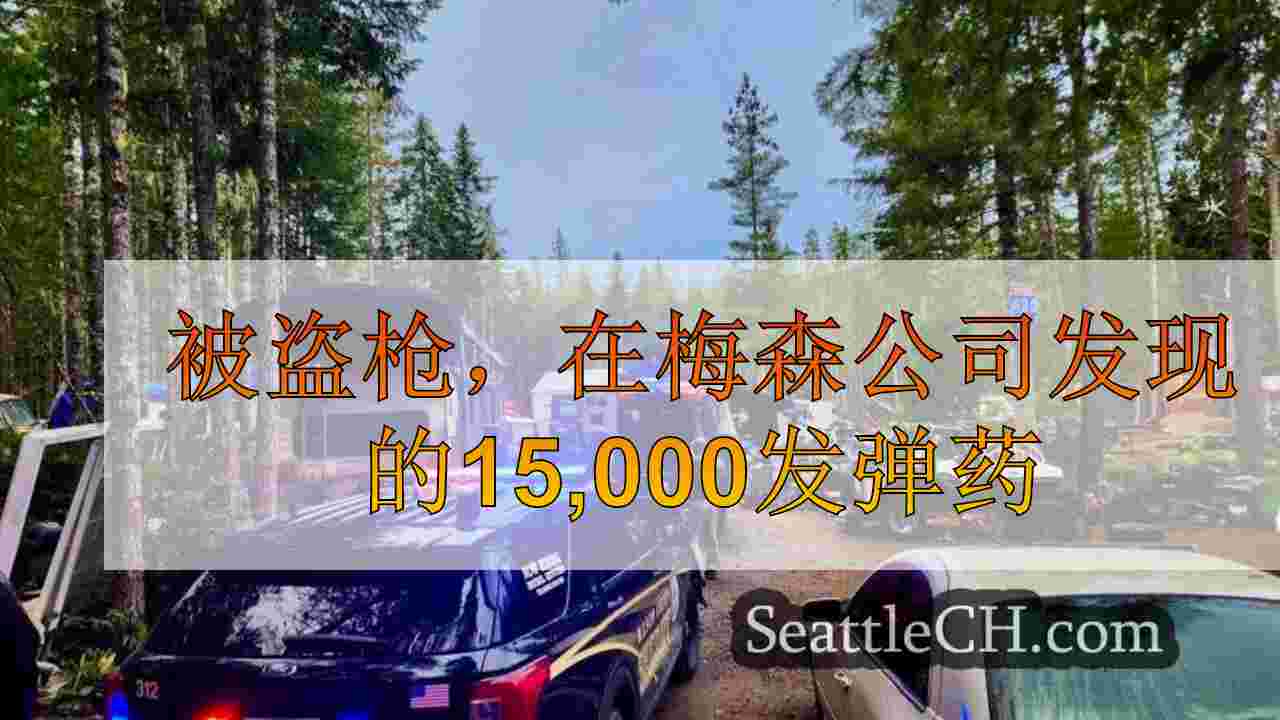 被盗枪，在梅森公司发现的15,000发弹药