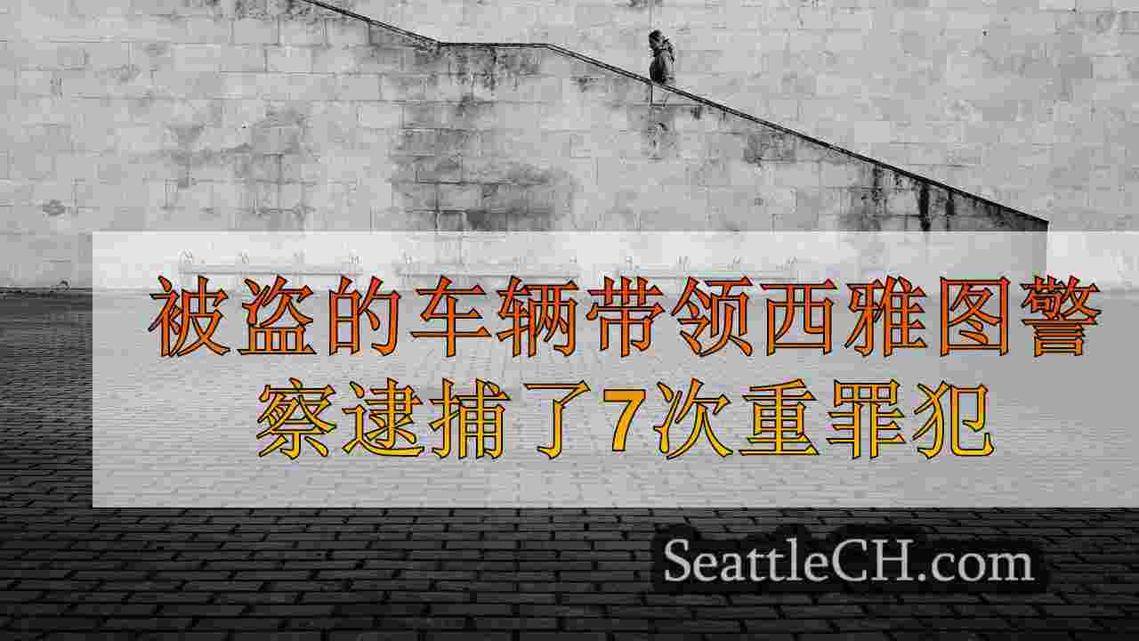 西雅图新闻 SeattleCH