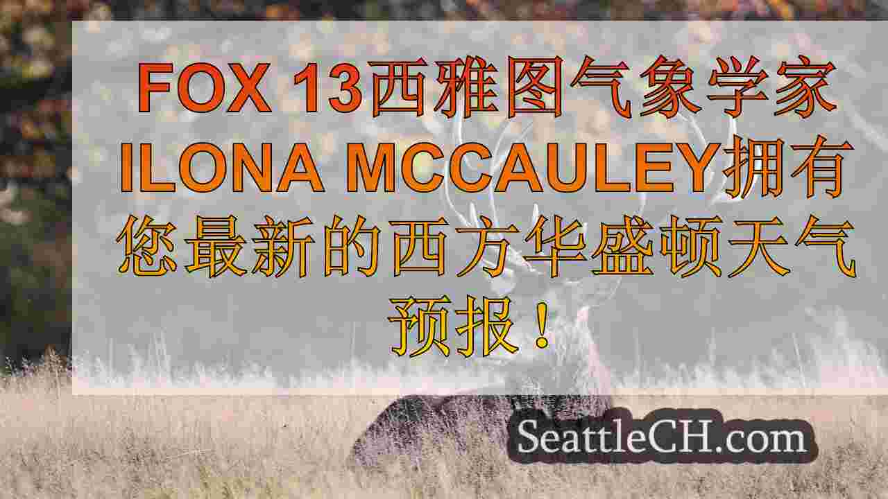 西雅图新闻 SeattleCH