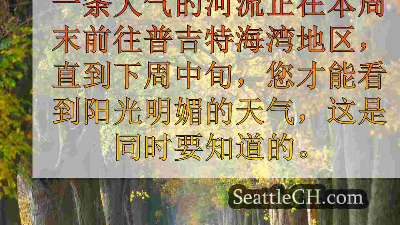 西澳大利亚州的西澳电力断电弹出，大气河，大风流入