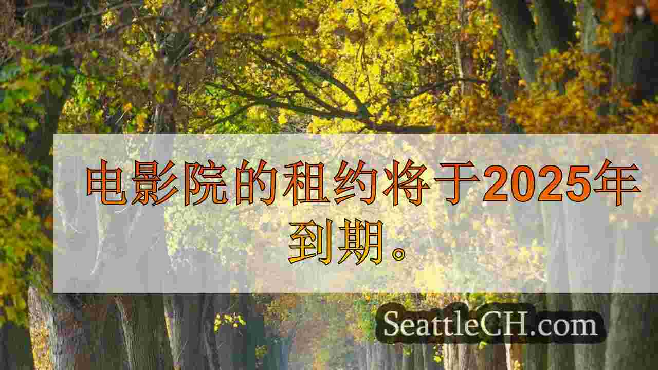 这是为即将举行的西雅图节目购买“汉密尔顿”门票