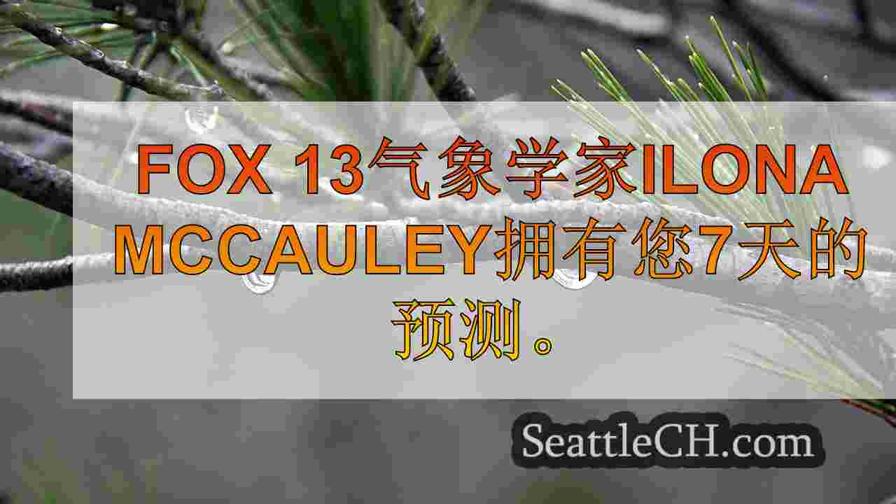 西雅图新闻 SeattleCH