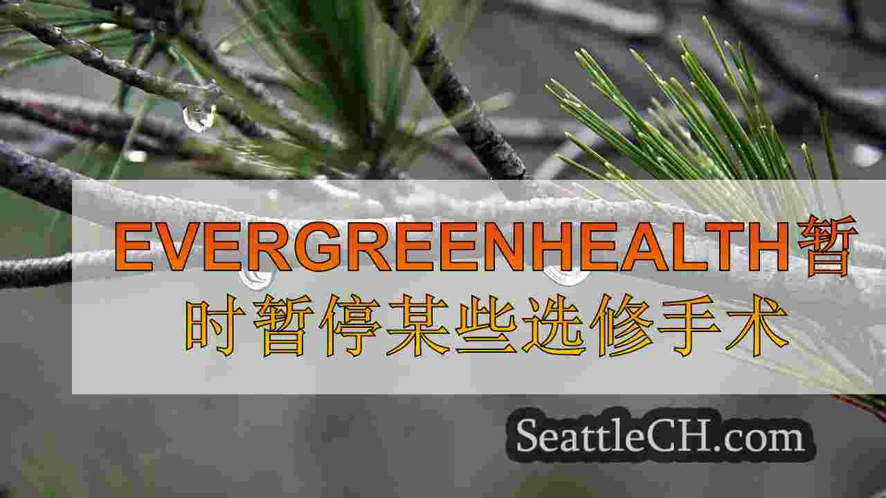 西雅图新闻 SeattleCH
