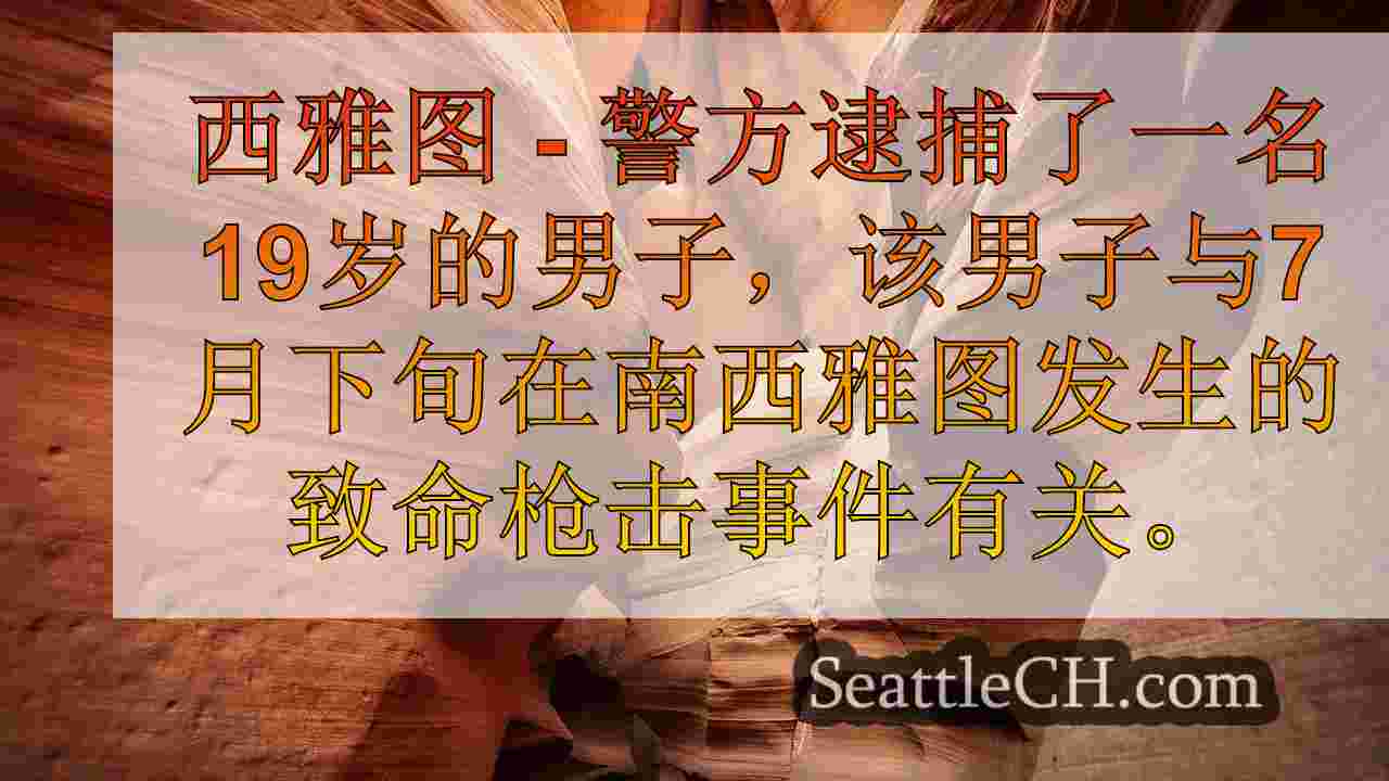 西雅图新闻 SeattleCH