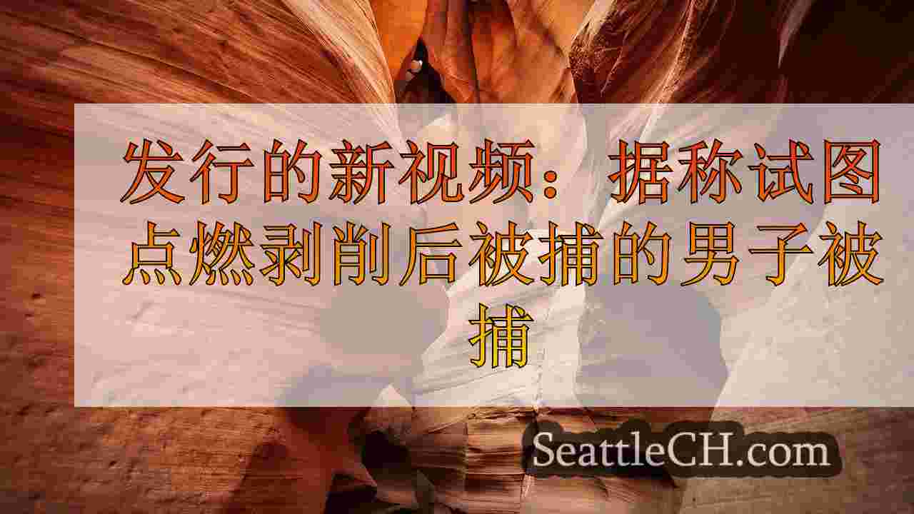 发行的新视频：据称试图在I-90上点亮爆炸装置后被捕