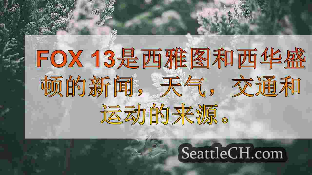 西雅图新闻 SeattleCH