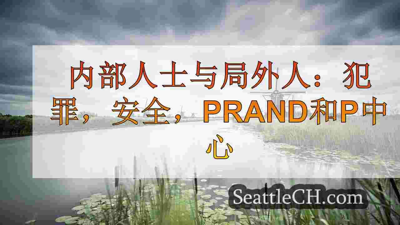 内幕人士与局外人：皮尔斯县警长竞赛的犯罪，安全，人员前部和中心