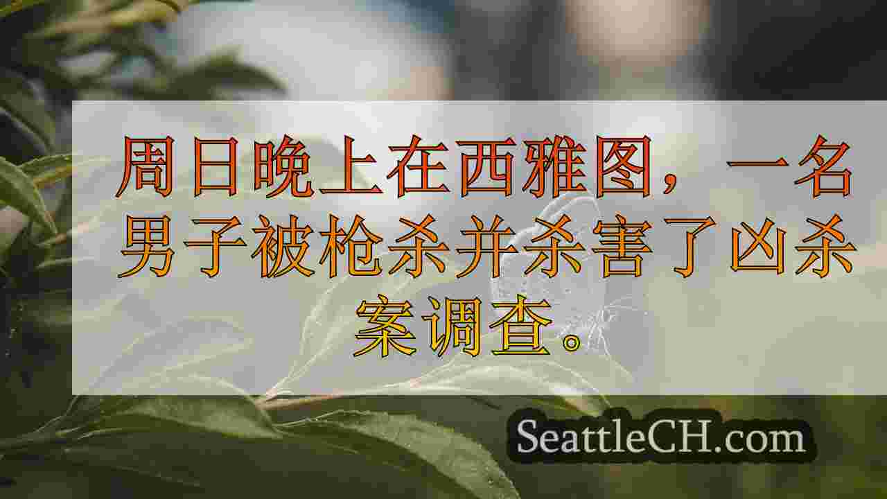 西雅图新闻 SeattleCH