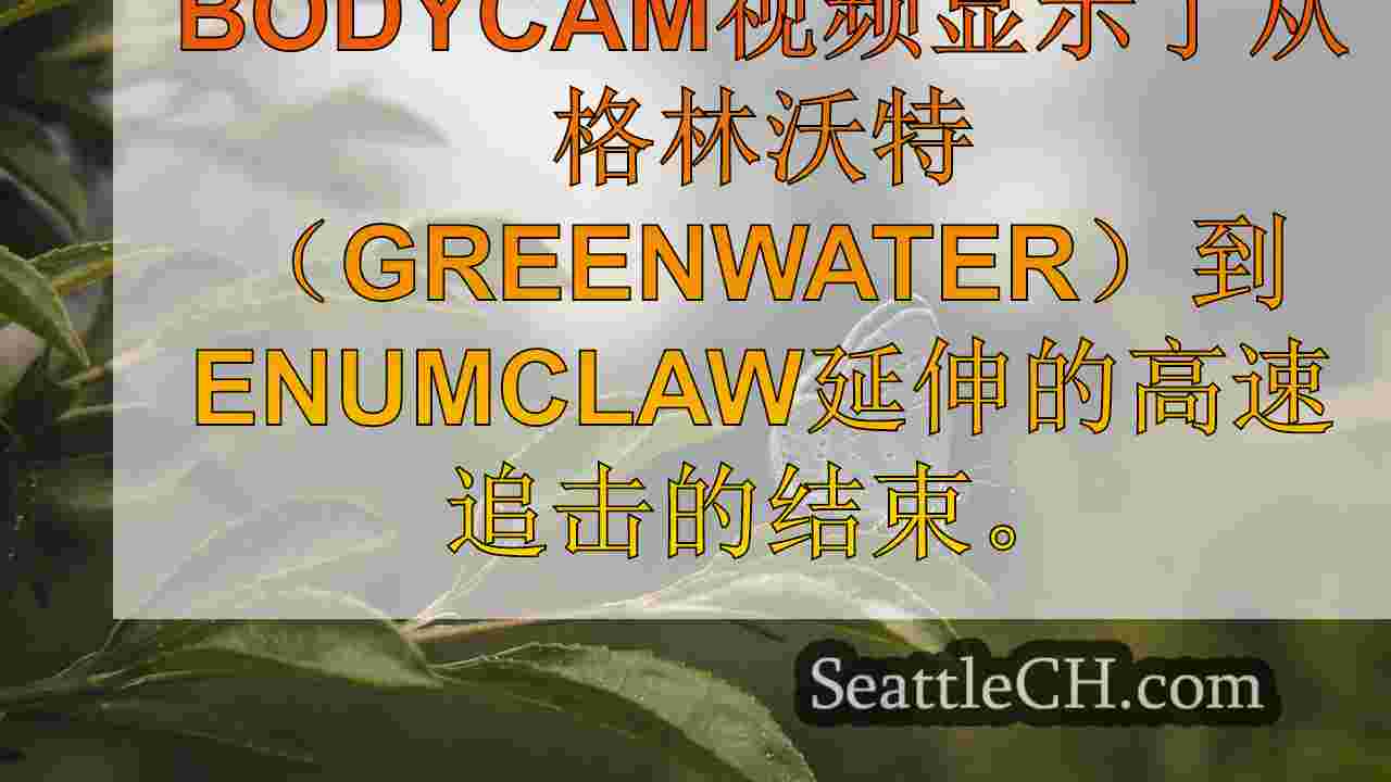 西雅图新闻 SeattleCH