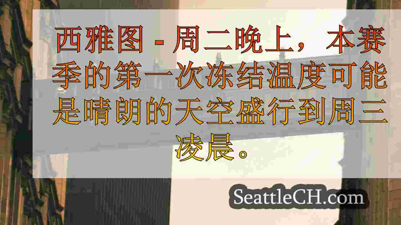 西雅图新闻 SeattleCH