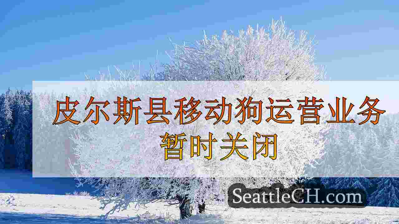 皮尔斯县移动狗运营业务在撞车事故发生后暂时关闭