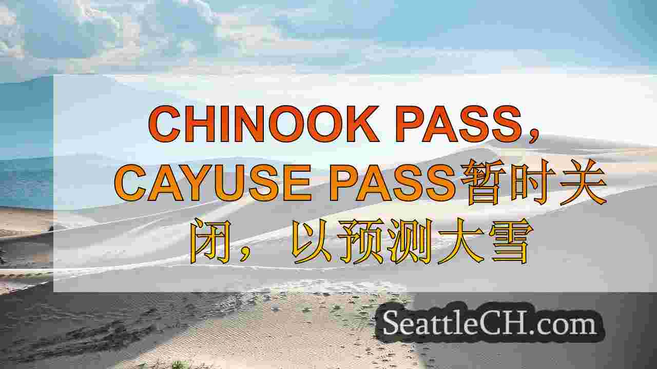 西雅图新闻 SeattleCH