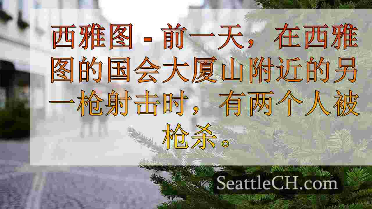西雅图新闻 SeattleCH